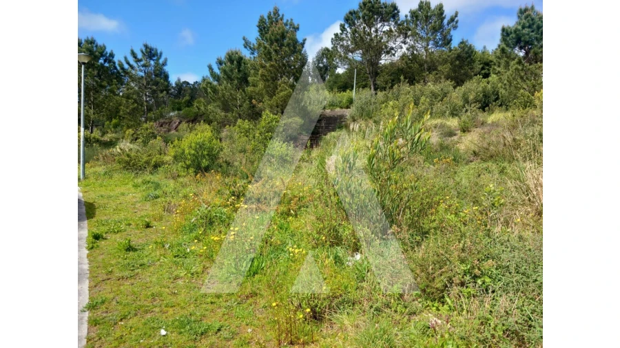 Terreno para Venda em Mozelos Foto 10