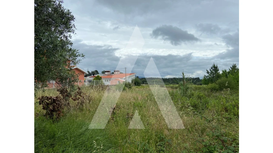 Terreno para Venda em São Lourenço do Bairro Foto 3