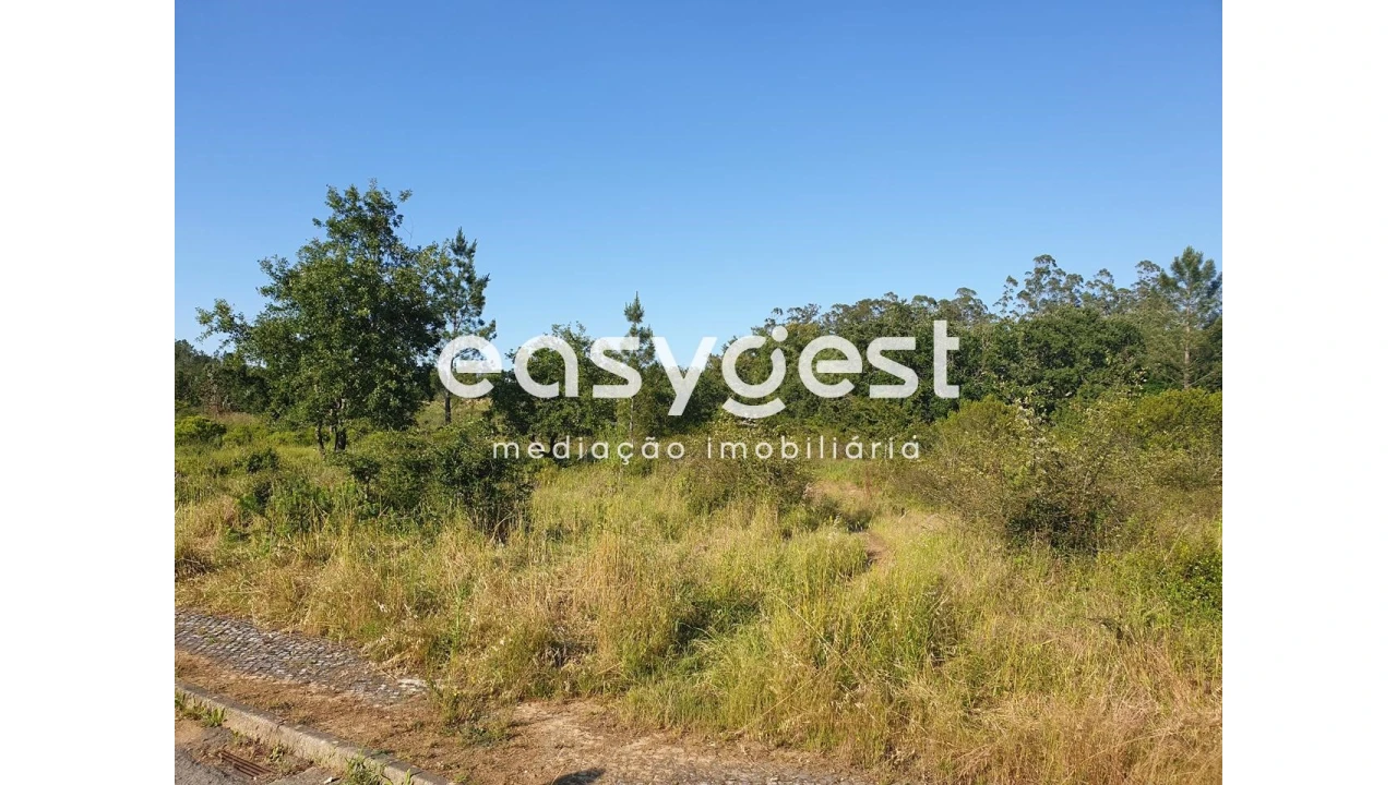 Terreno Agricola ou Rústico para Venda em Soure Foto 1