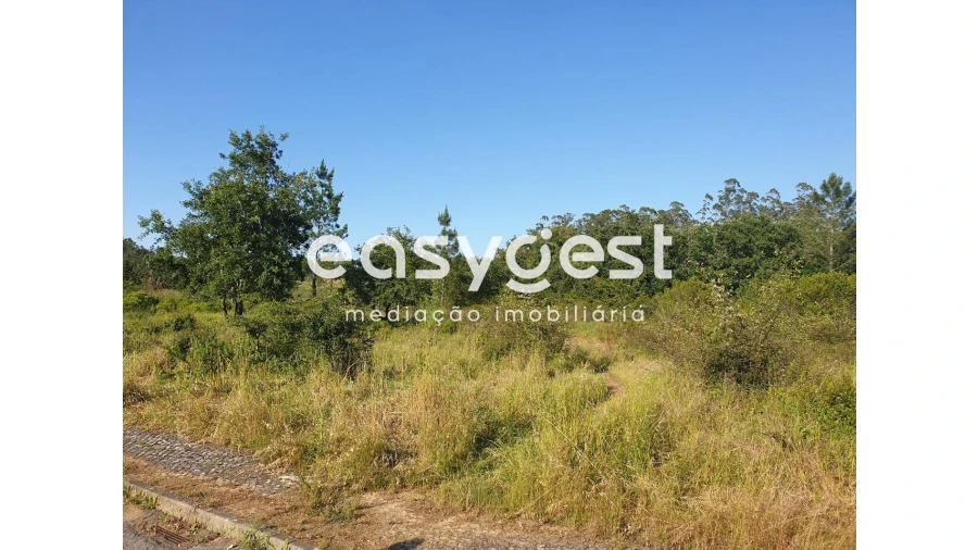 Terreno Agricola ou Rústico para Venda em Soure