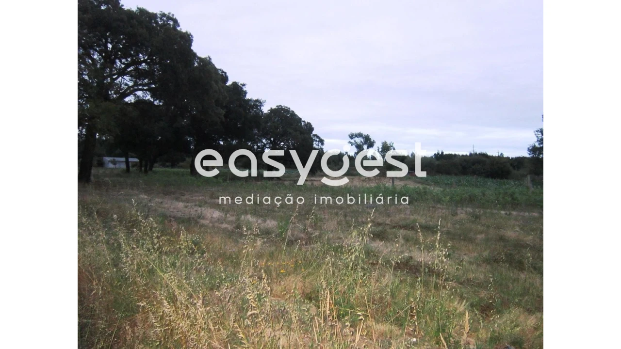 Terreno Agricola ou Rústico para Venda em Mira Foto 6