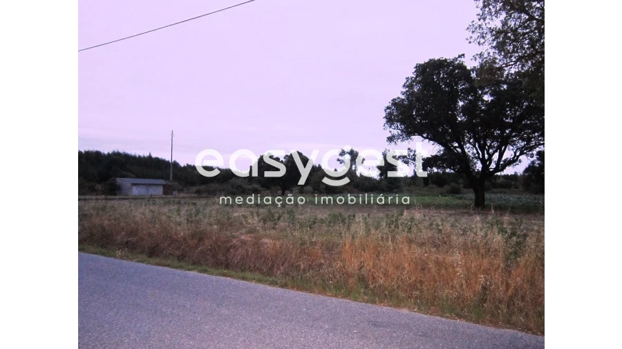 Terreno Agricola ou Rústico para Venda em Mira Foto 3