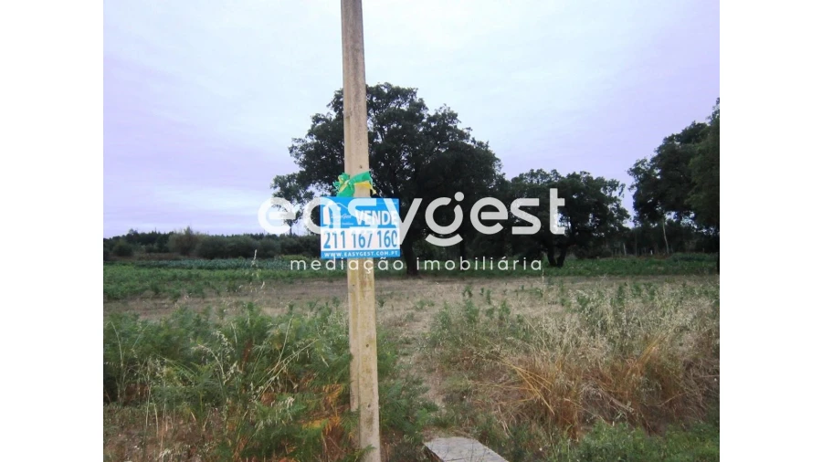 Terreno Agricola ou Rústico para Venda em Mira Foto 5