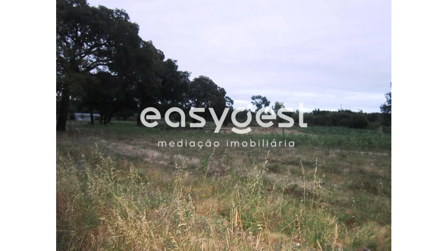 Terreno Agricola ou Rústico para Venda em Mira Foto 6