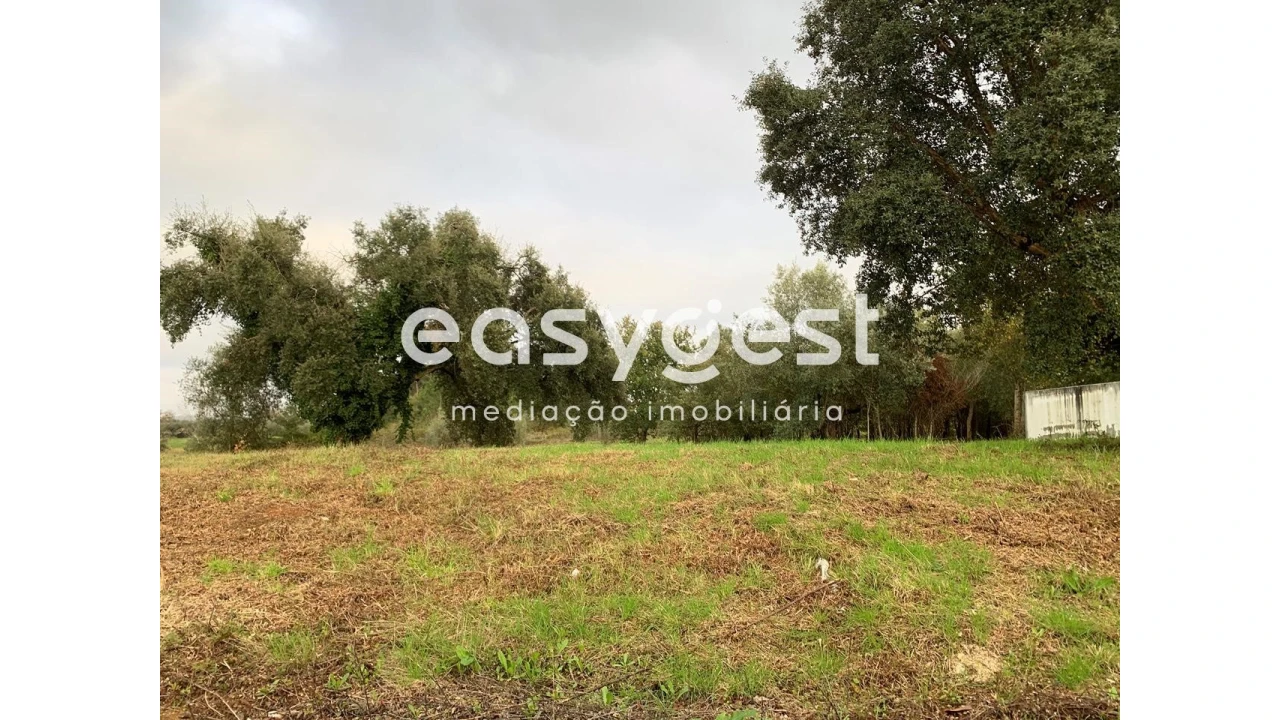 Terreno para Venda em Sebal e Belide Foto 1