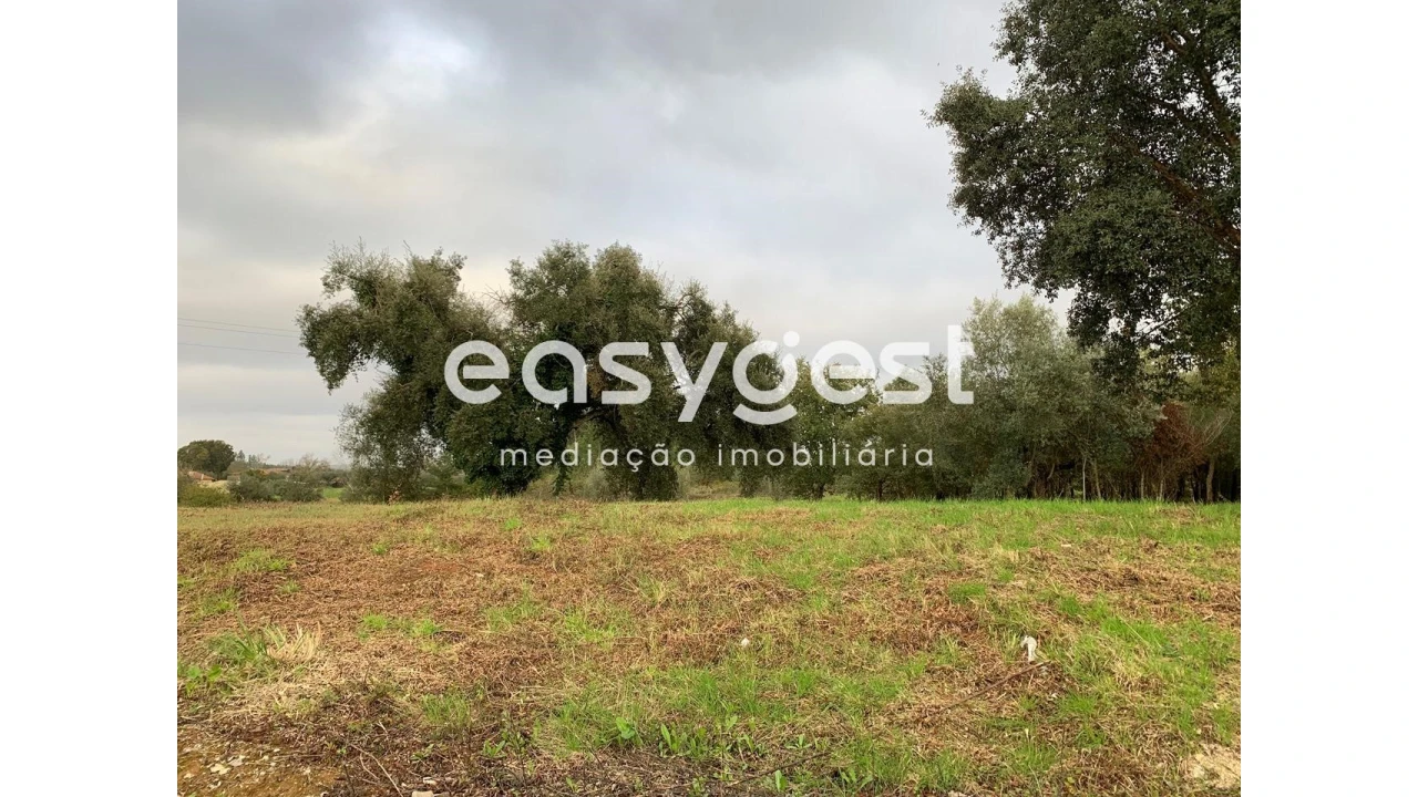 Terreno para Venda em Sebal e Belide Foto 3