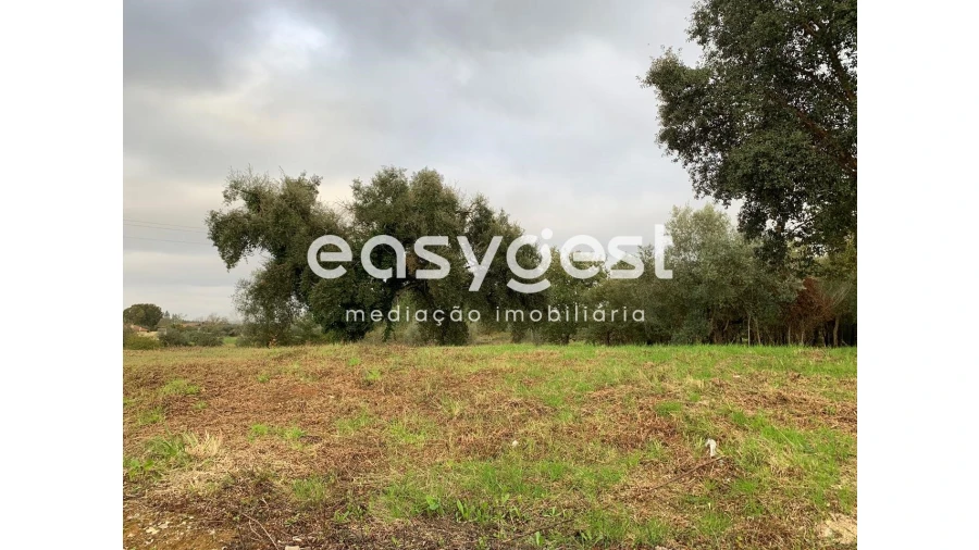 Terreno para Venda em Sebal e Belide Foto 3