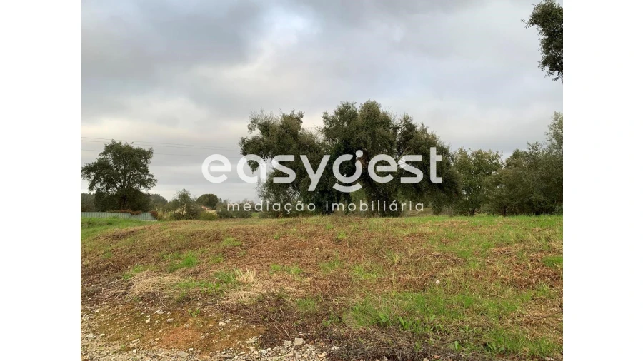 Terreno para Venda em Sebal e Belide Foto 4