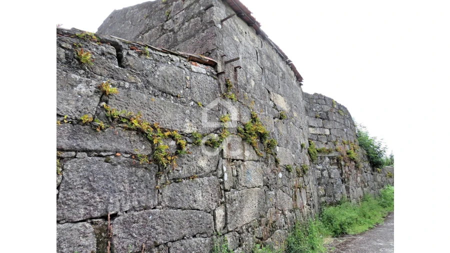 Terreno para Venda em Aguas Santas Foto 10