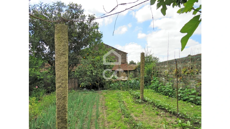 Terreno para Venda em Aguas Santas Foto 4