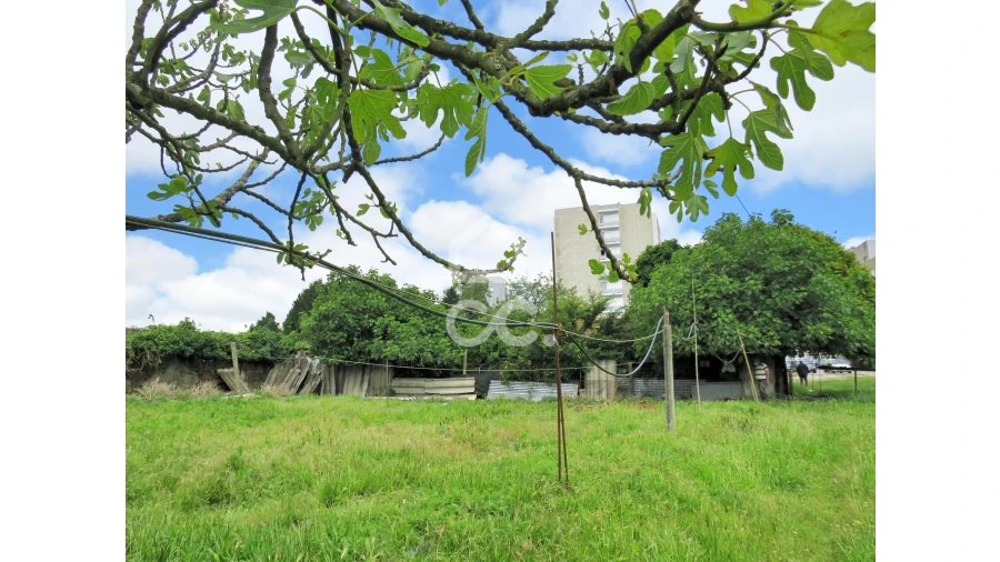 Terreno para Venda em Aguas Santas Foto 6