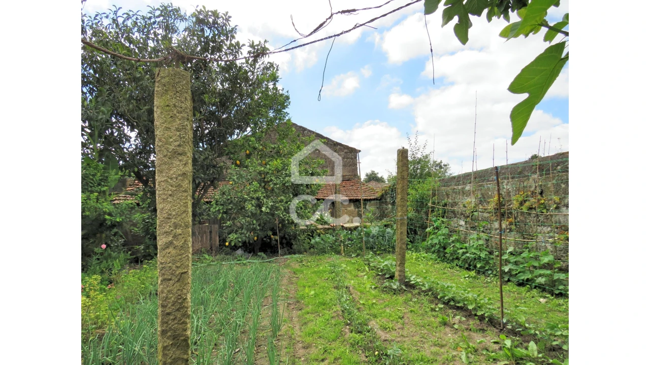 Terreno para Venda em Aguas Santas Foto 4