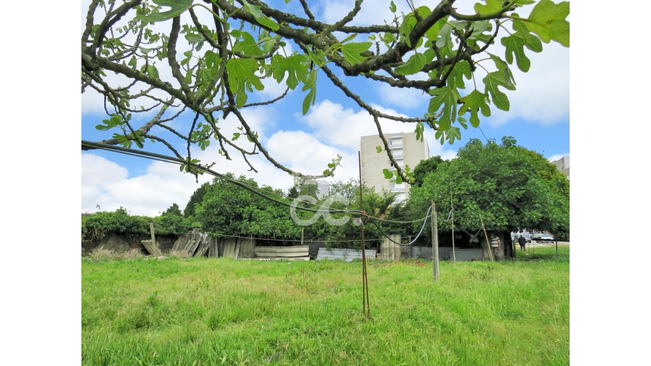 Terreno para Venda em Aguas Santas Foto 6