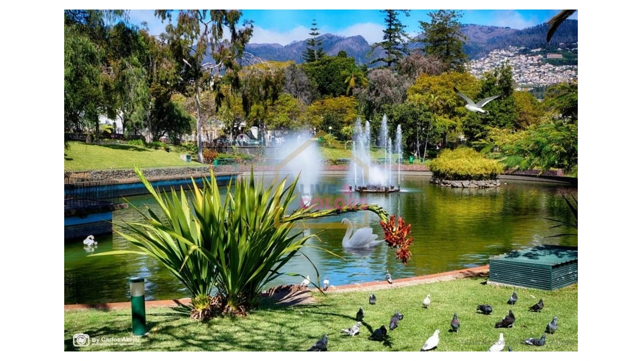 Apartamento T4 para Venda em Funchal (Se) Foto 24