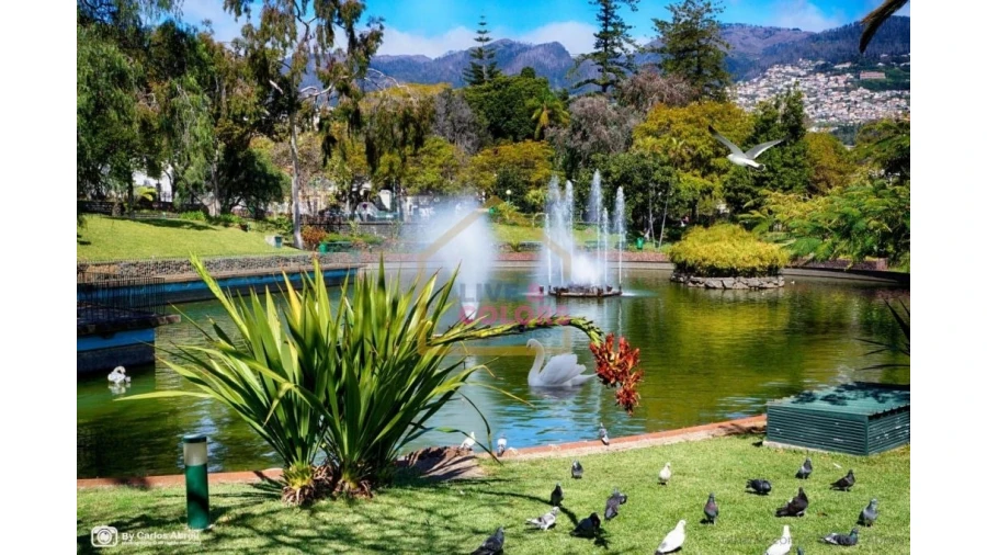 Apartamento T4 para Venda em Funchal (Se) Foto 24