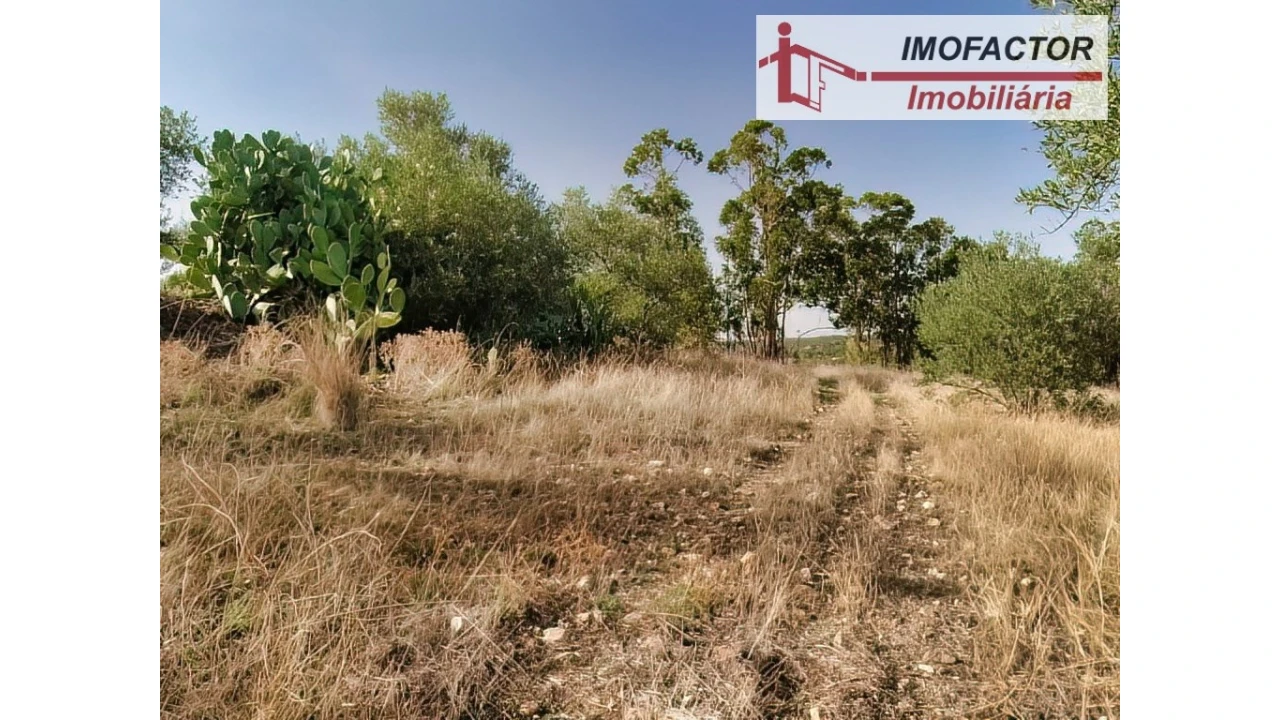 Terreno para Venda em Castelo Branco Foto 4