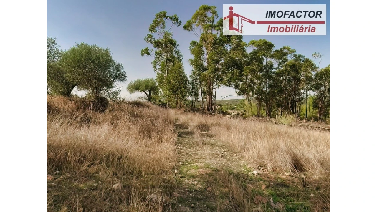 Terreno para Venda em Castelo Branco Foto 7