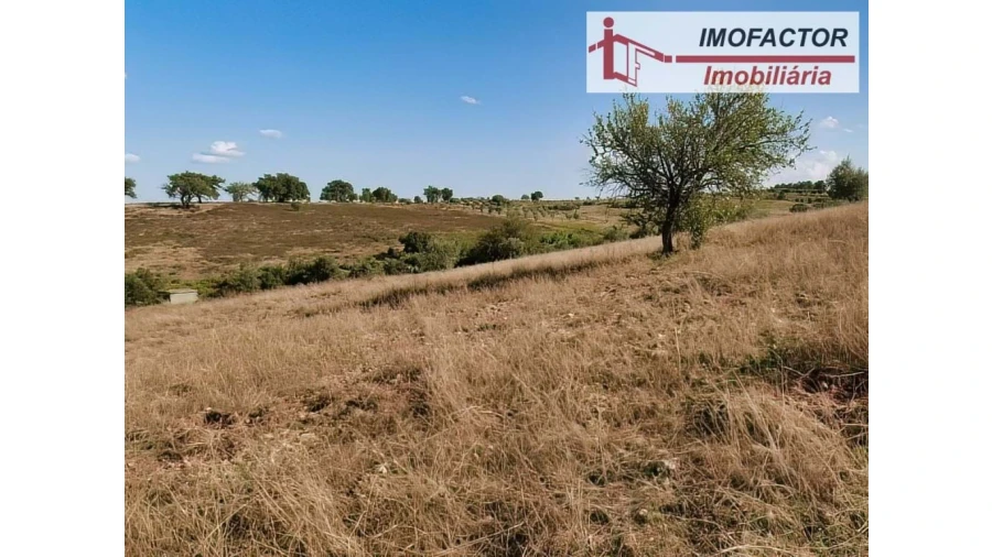 Terreno para Venda em Castelo Branco Foto 5