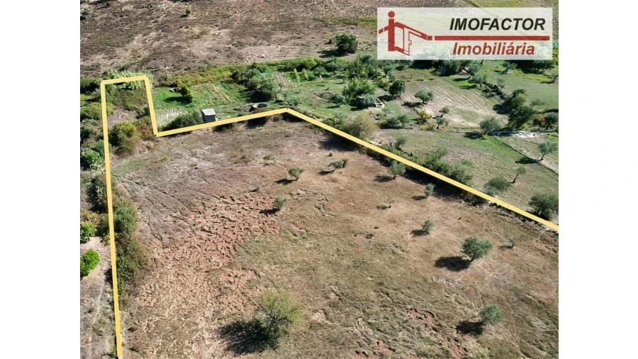Terreno para Venda em Castelo Branco Foto 10