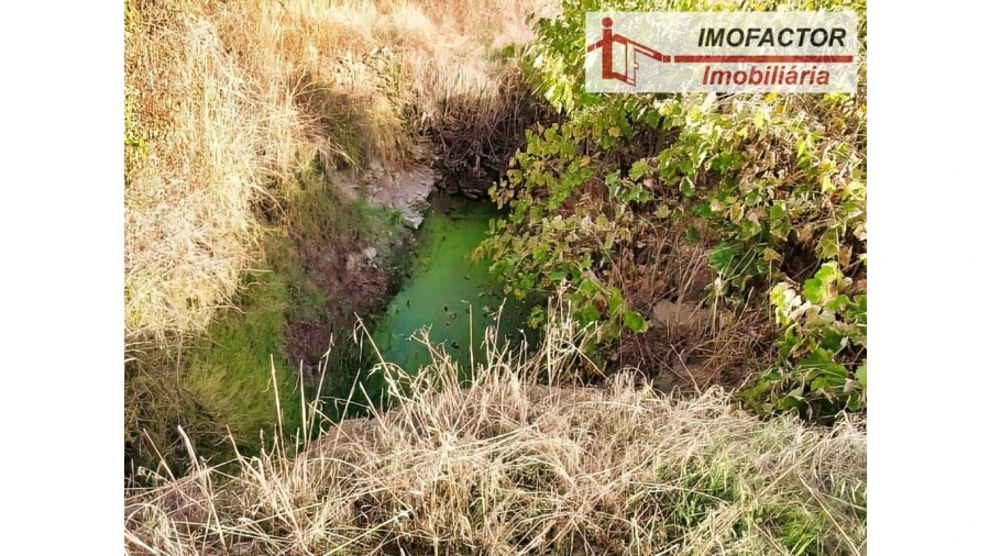Terreno para Venda em Castelo Branco Foto 3