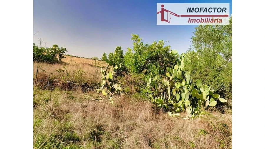 Terreno para Venda em Castelo Branco
