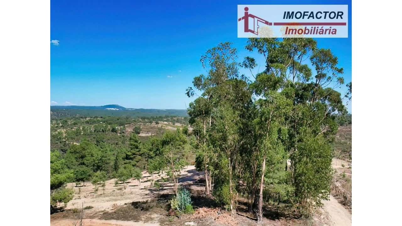 Terreno para Venda em Castelo Branco Foto 6