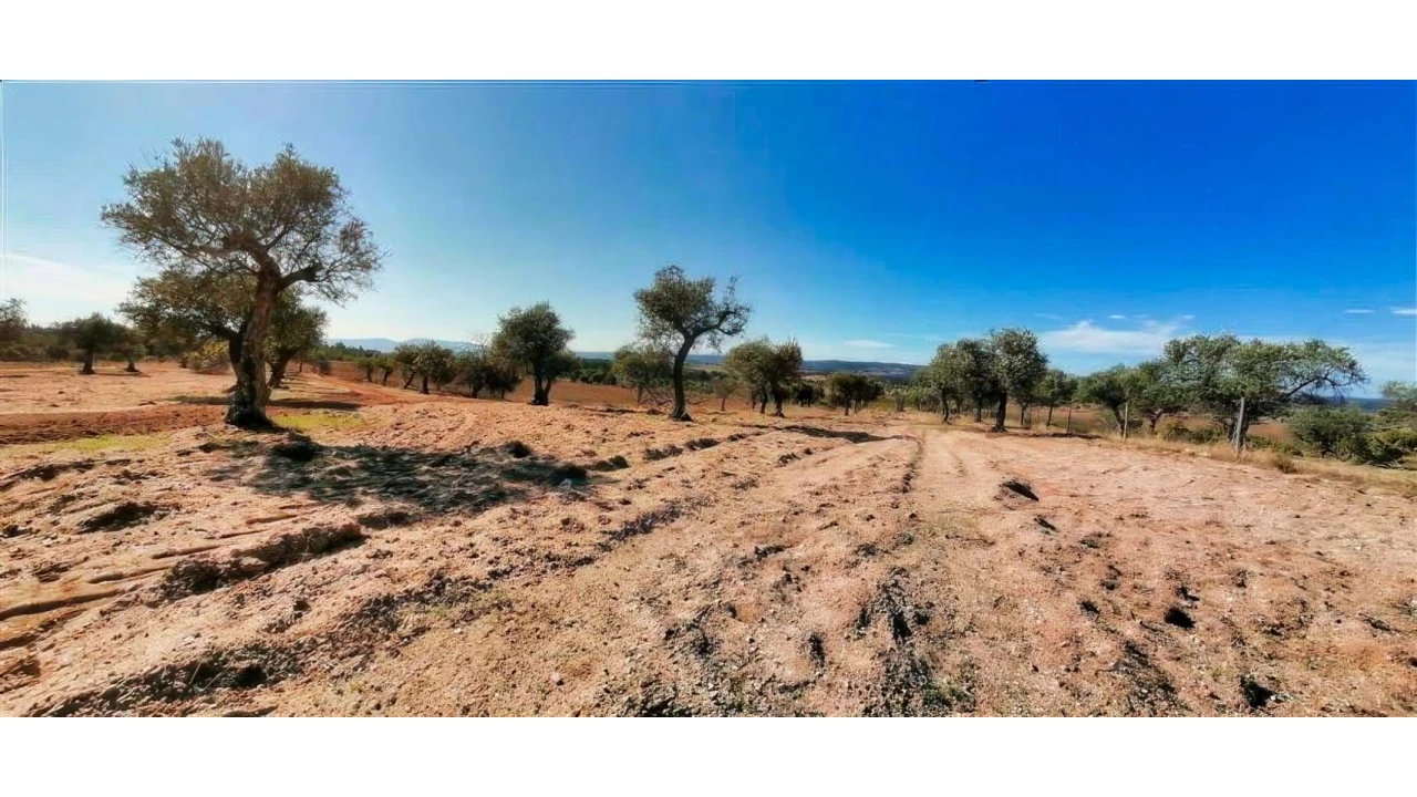 Terreno para Venda em Perais Foto 23