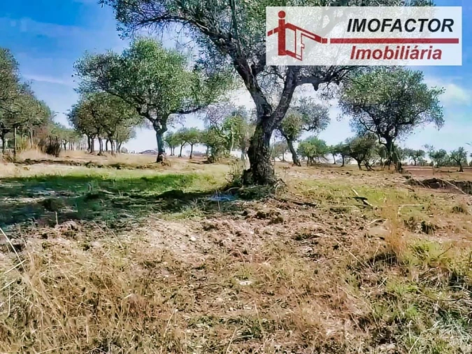 Terreno para Venda em Perais Foto 4