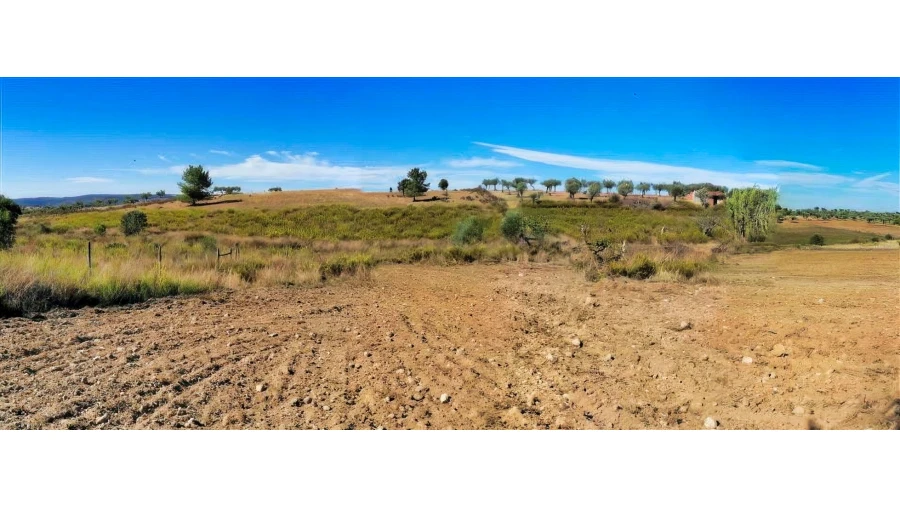 Terreno para Venda em Perais Foto 22