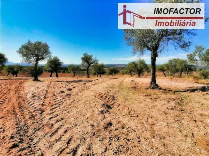 Terreno para Venda em Perais Foto 9