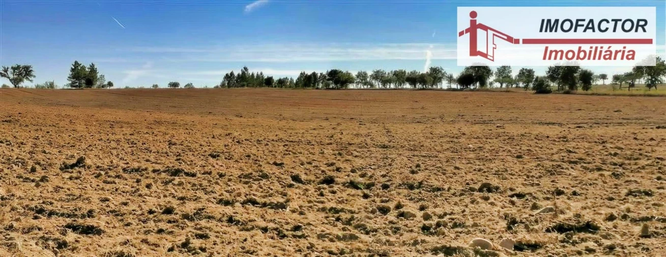 Terreno para Venda em Perais Foto 19