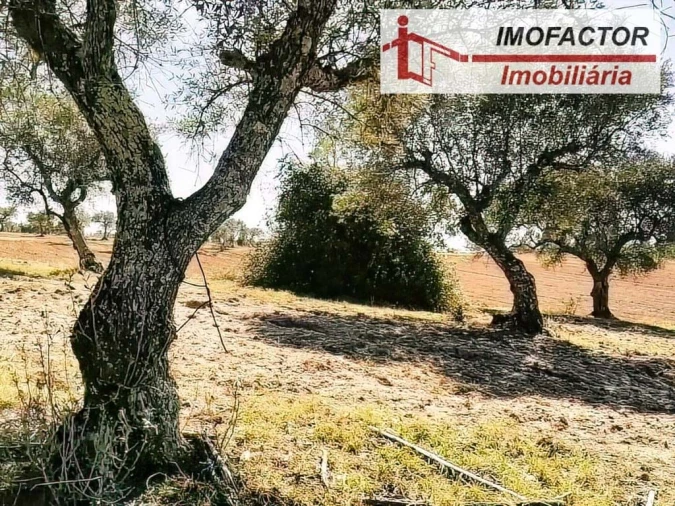 Terreno para Venda em Perais Foto 2