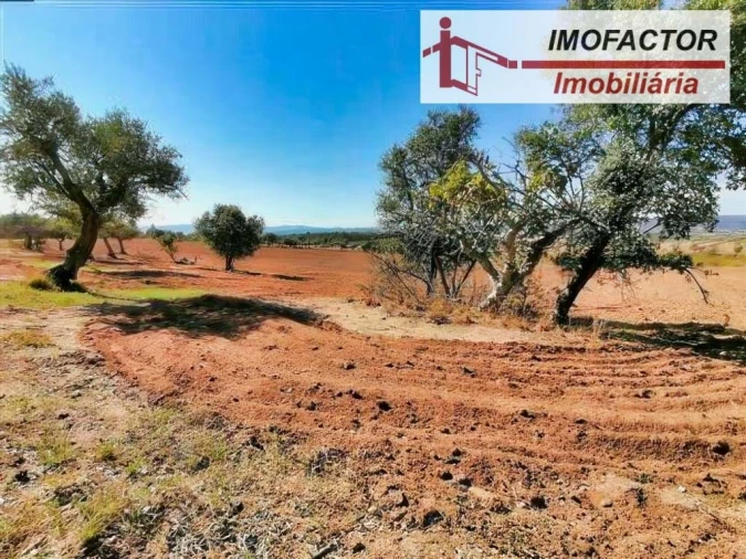 Terreno para Venda em Perais Foto 10