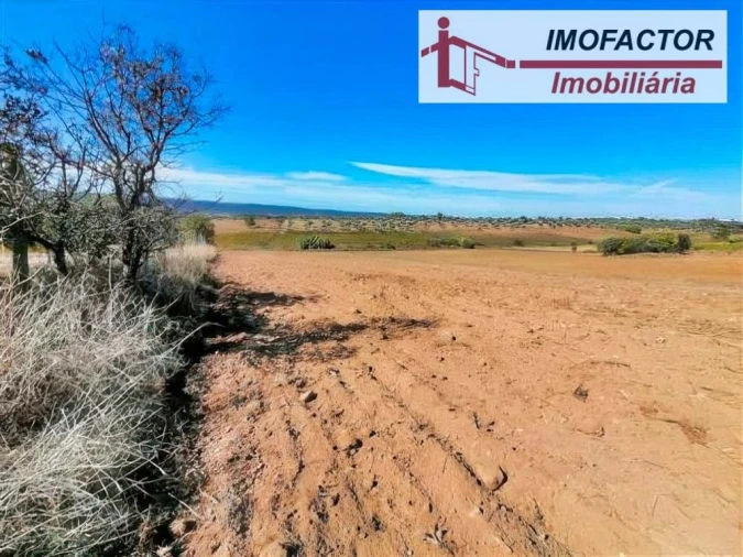Terreno para Venda em Perais Foto 14