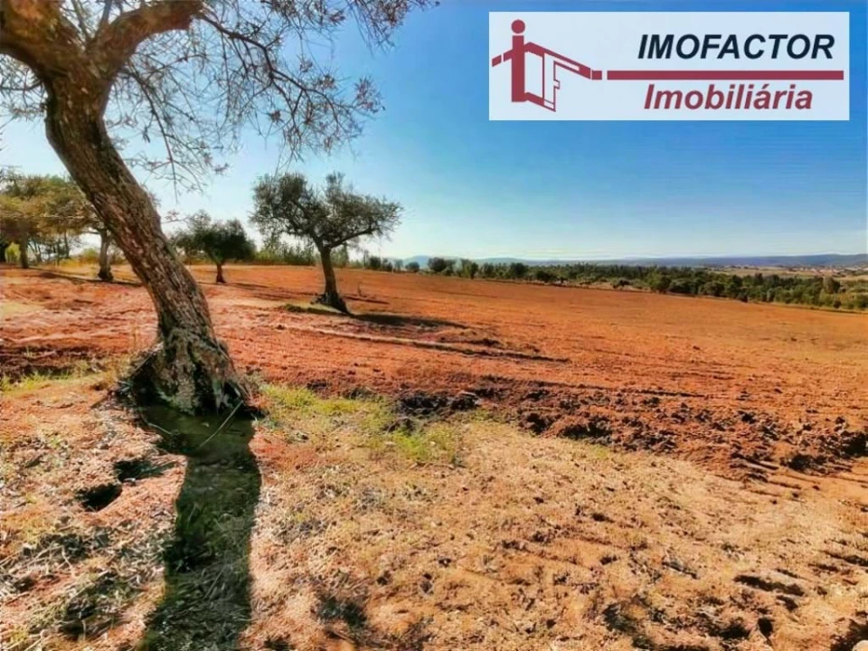 Terreno para Venda em Perais Foto 8