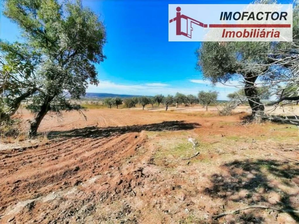 Terreno para Venda em Perais Foto 11