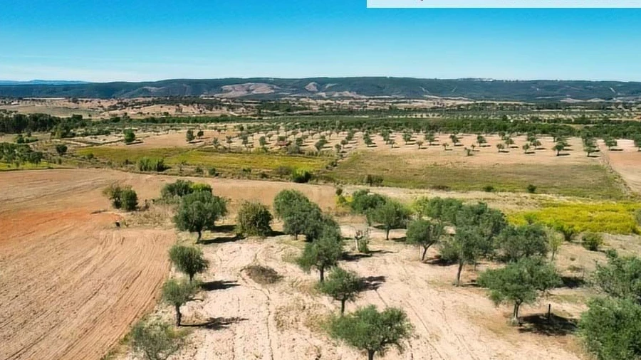 Terreno para Venda em Perais