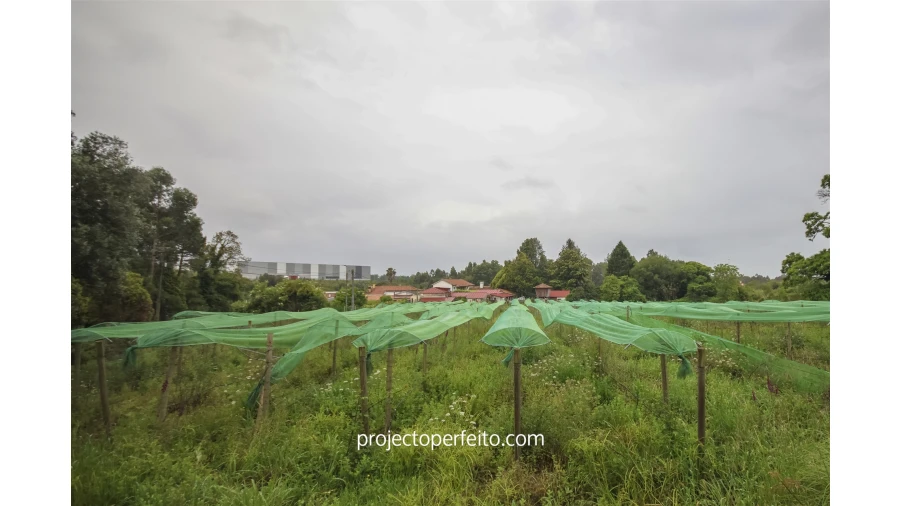 Quinta T4 para Venda em Grijó e Sermonde Foto 12