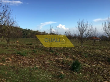Terreno para Venda em Prazeres