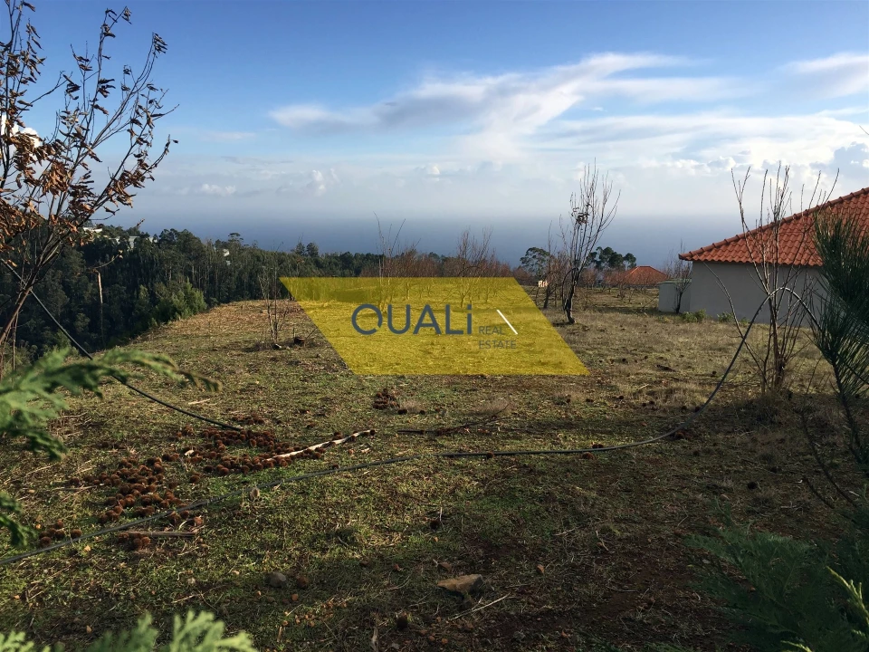 Terreno para Venda em Prazeres Foto 13