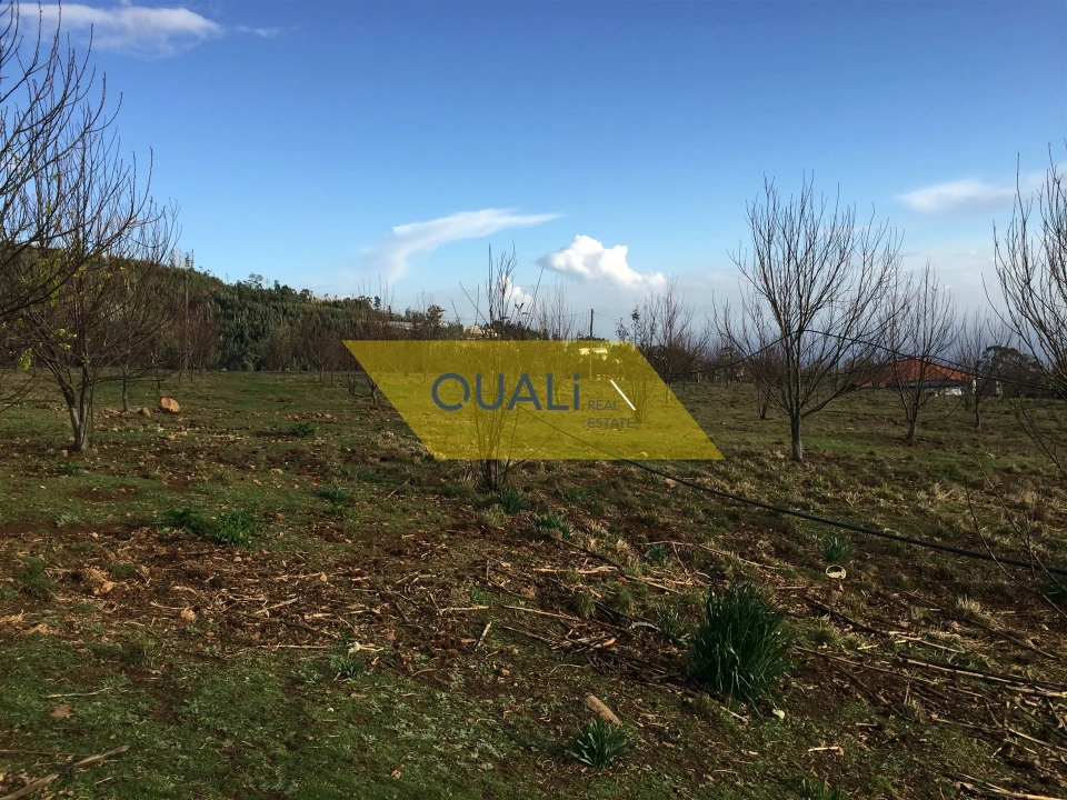 Terreno para Venda em Prazeres Foto 14