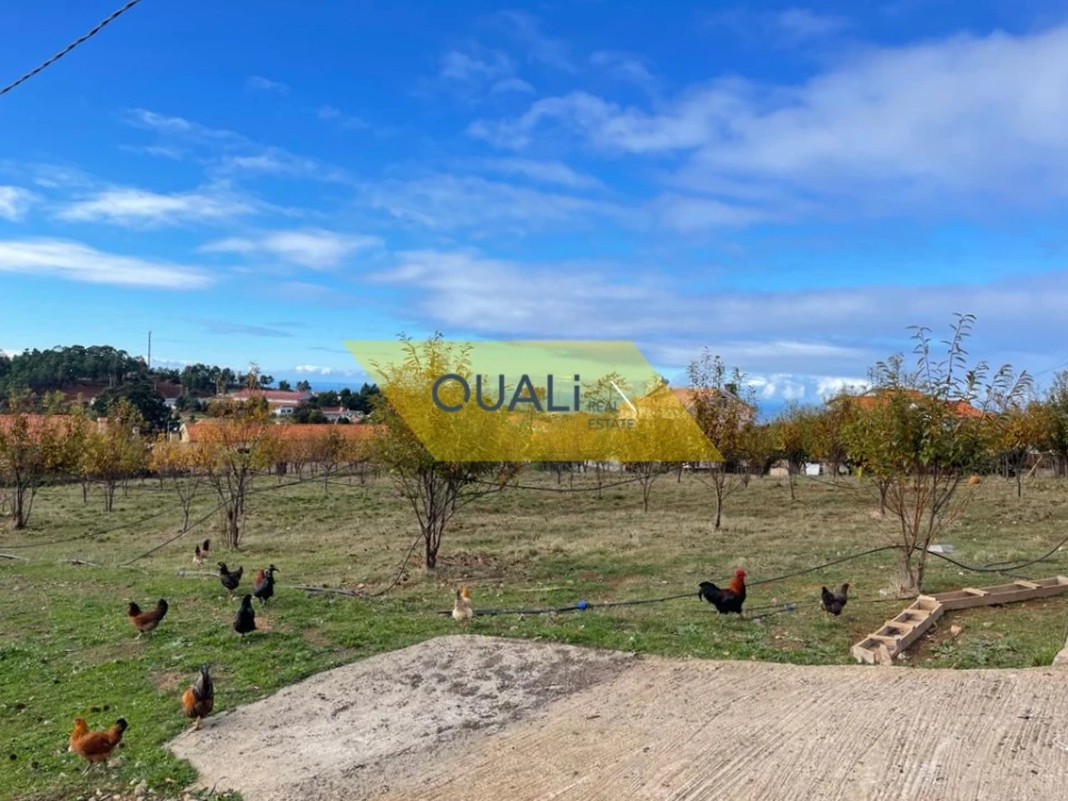 Terreno para Venda em Prazeres Foto 16