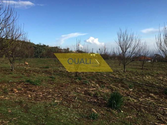 Terreno para Venda em Prazeres Foto 14