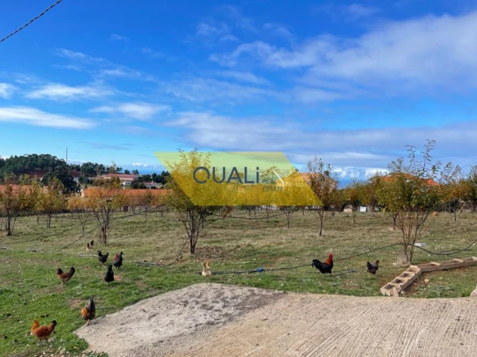 Terreno para Venda em Prazeres Foto 16