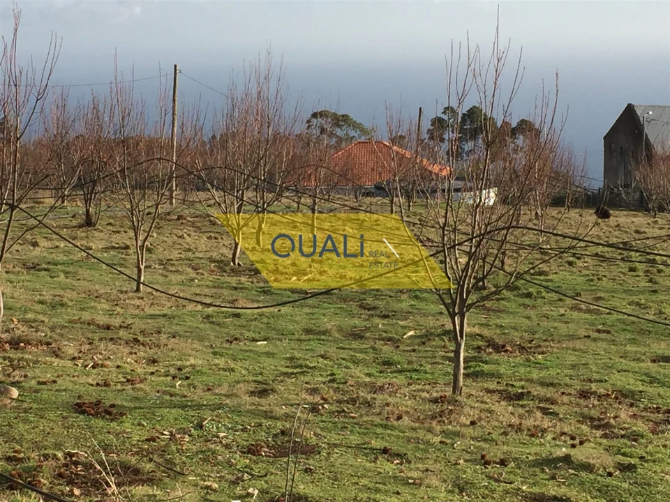 Terreno para Venda em Prazeres Foto 12