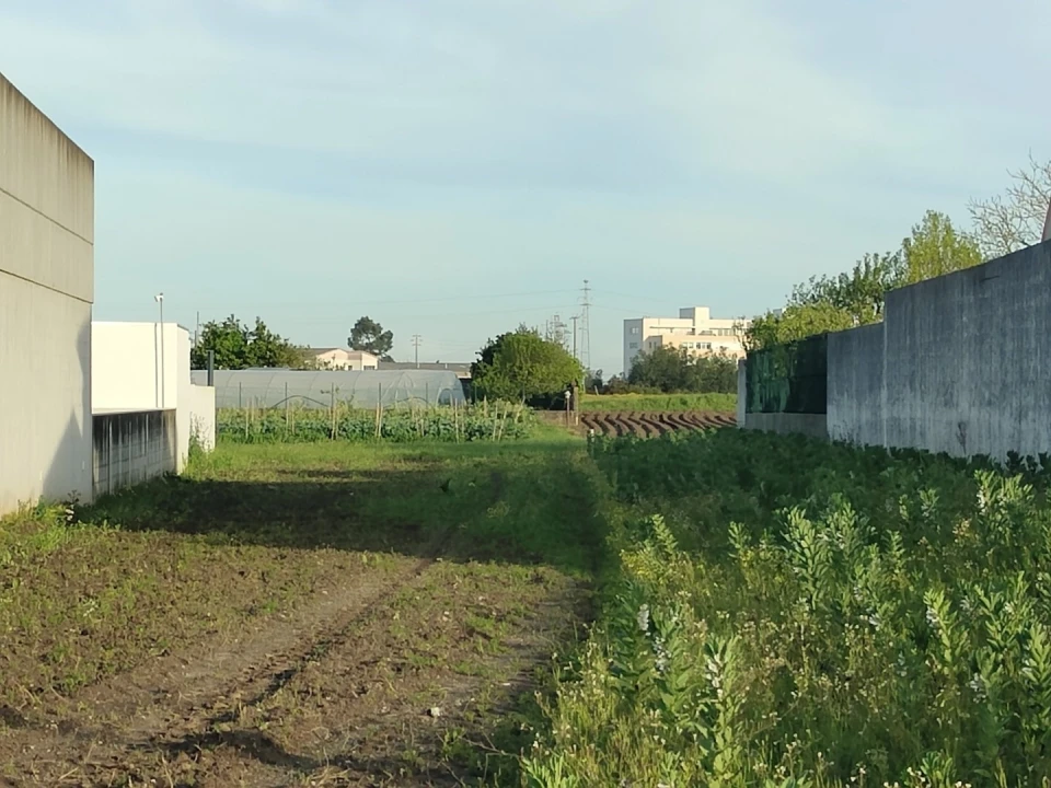 Terreno para Venda em Glória e Vera Cruz Foto 1