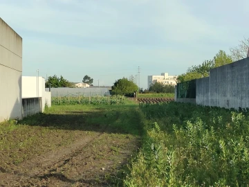 Terreno para Venda em Glória e Vera Cruz
