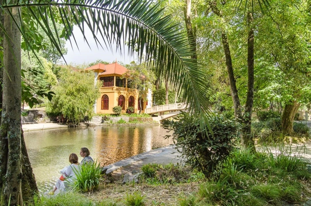 Armazém para Venda em Esgueira Foto 4