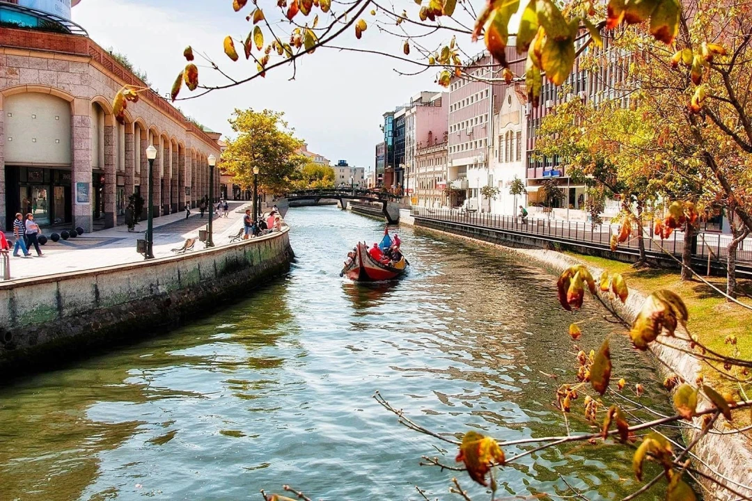 Armazém para Venda em Esgueira Foto 6