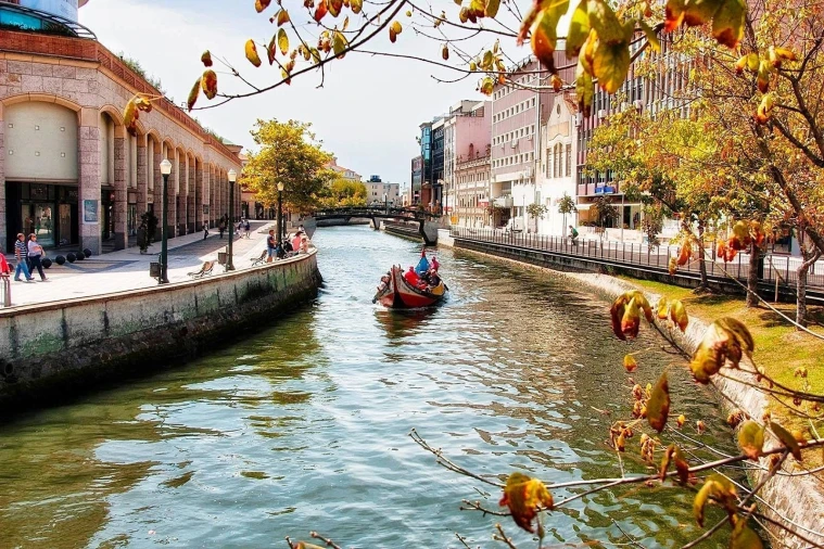 Armazém para Venda em Esgueira Foto 6